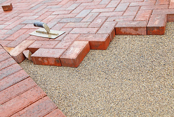 Best Residential Paver Driveway  in La Homa, TX